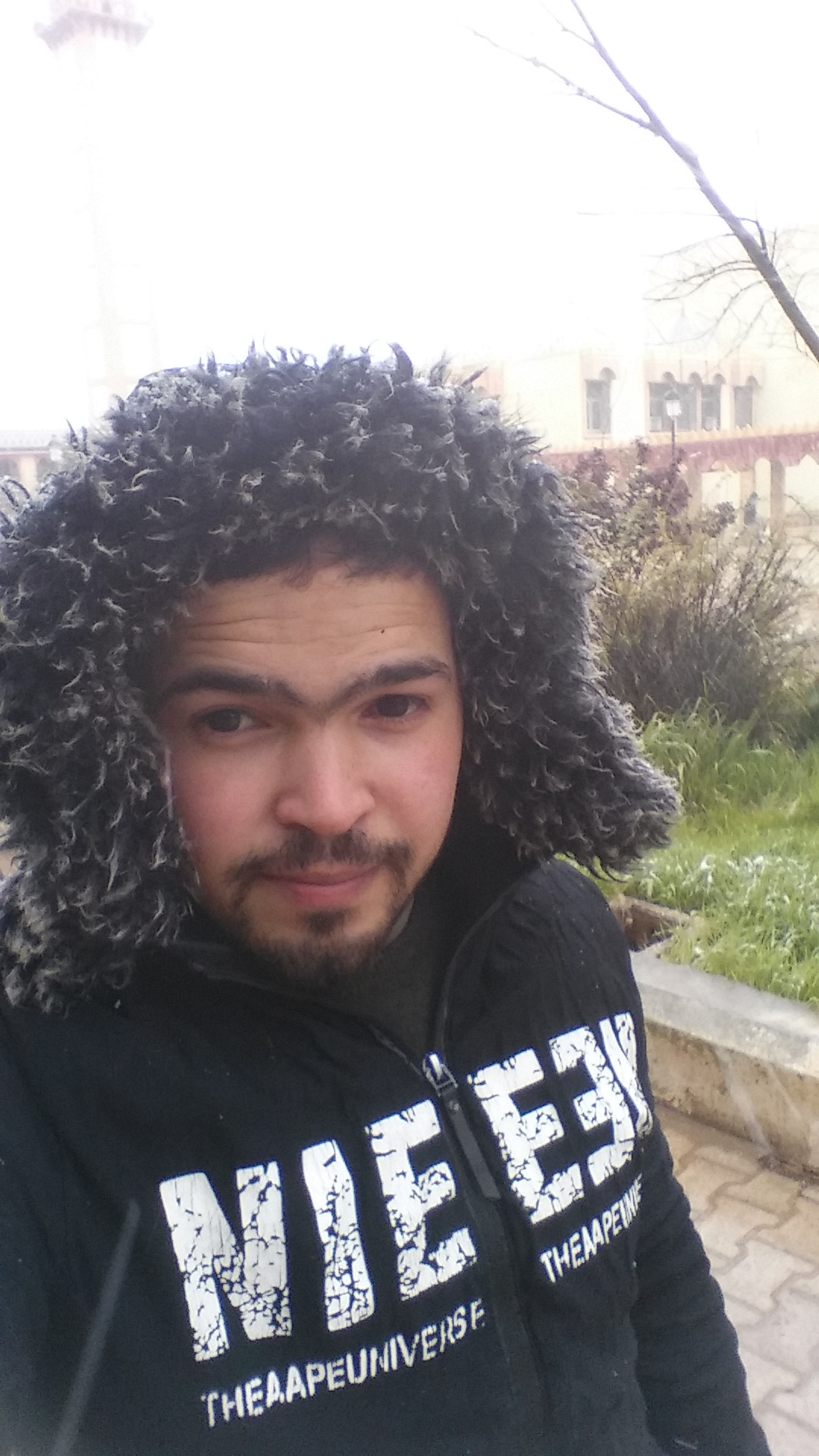 LG G2 sample photo