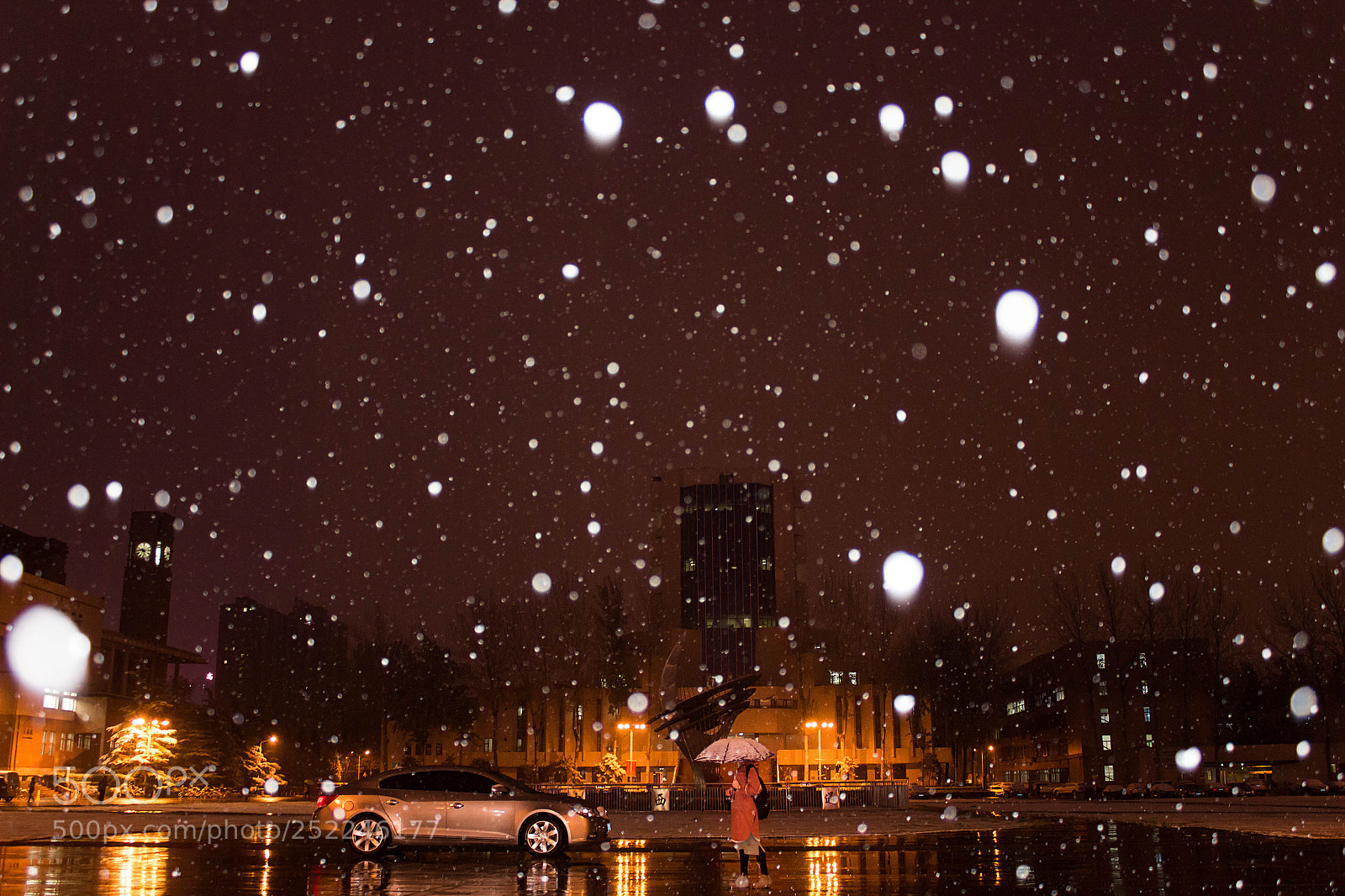 Canon EOS 650D (EOS Rebel T4i / EOS Kiss X6i) sample photo. 四月雪中自拍 photography