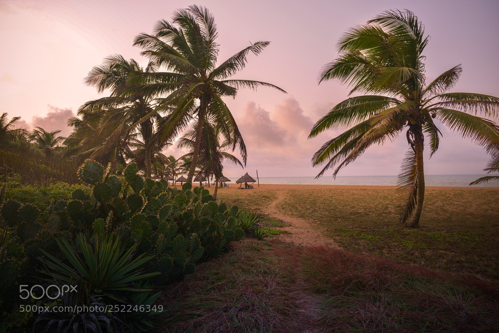 Nikon D800 sample photo. A beach of benin photography