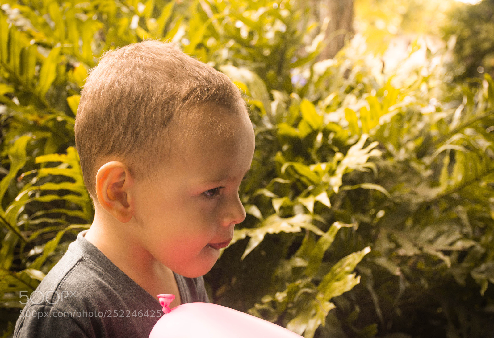 Nikon D7200 sample photo. Untitled photography