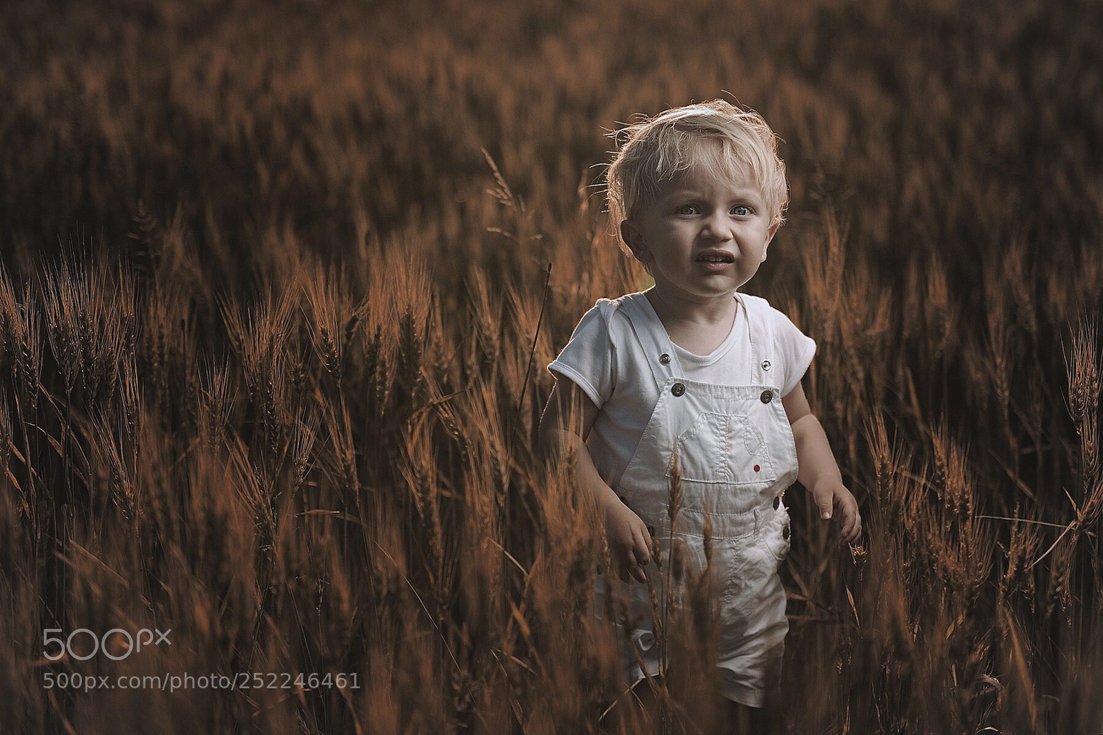 Nikon D700 sample photo. Childhood photography