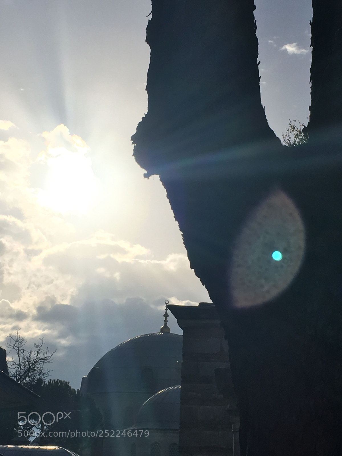 Apple iPhone 6s Plus sample photo. Untitled photography