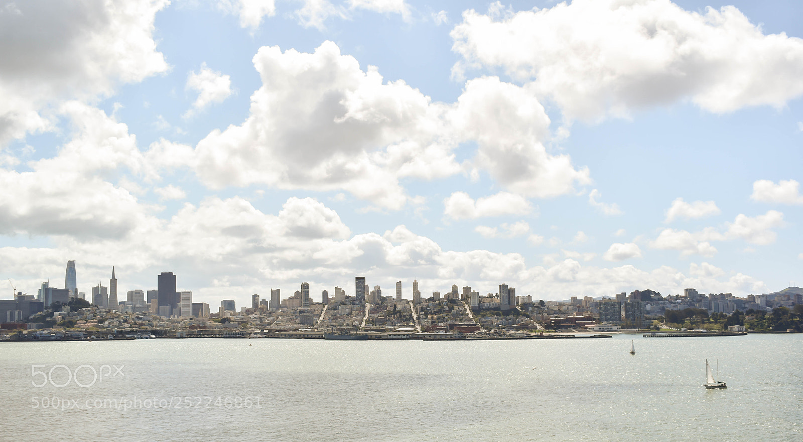 Nikon D5600 sample photo. View from alcatraz photography