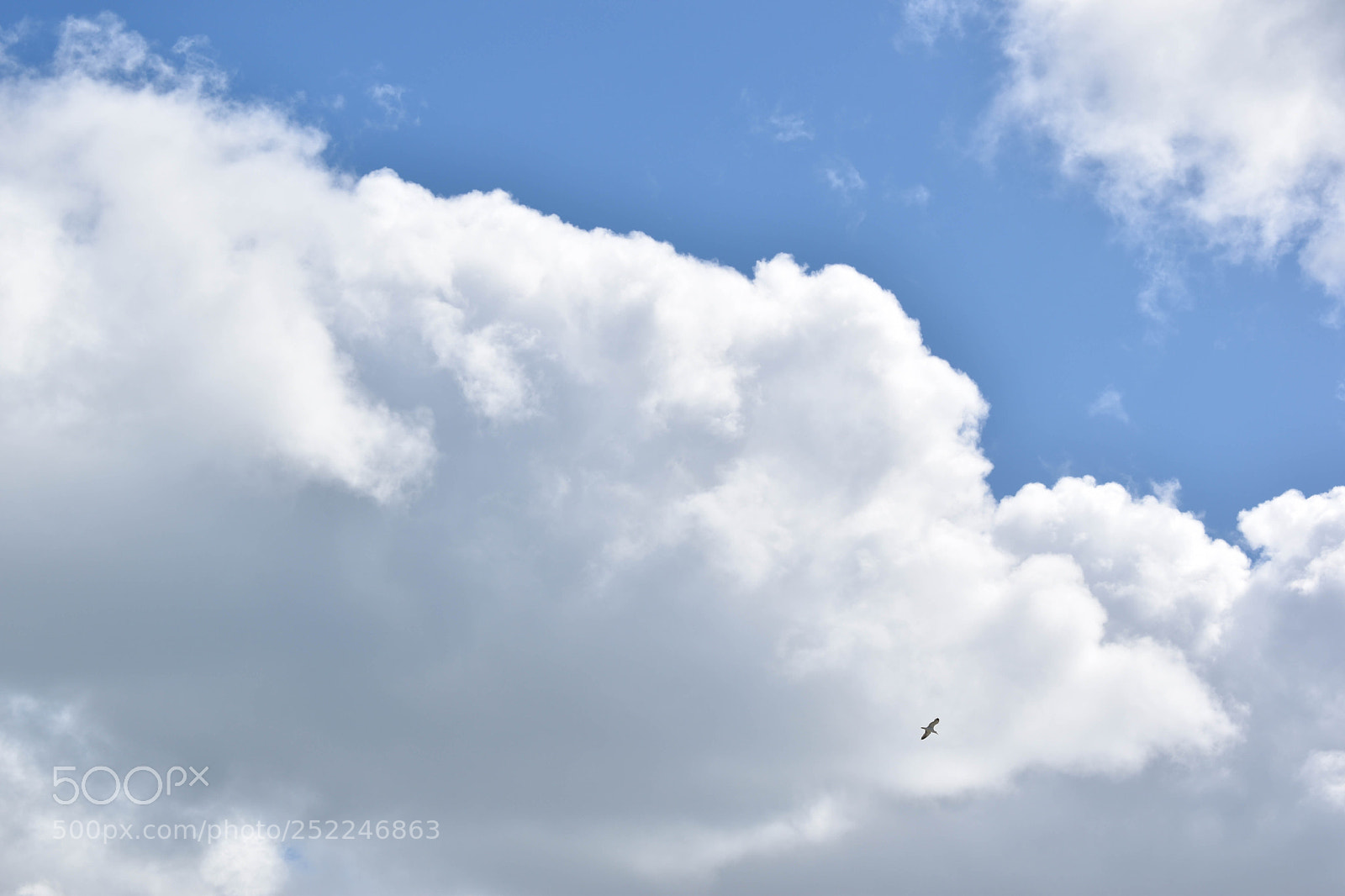 Nikon D5600 sample photo. Clear skies photography