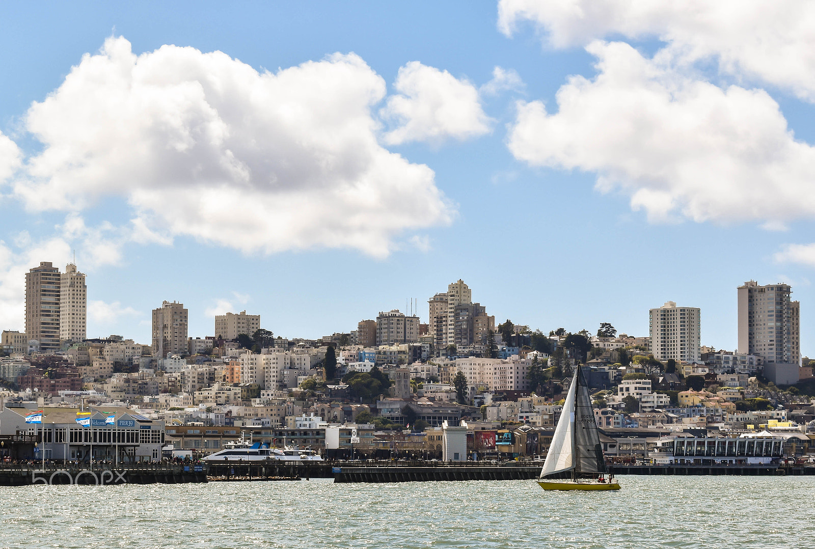 Nikon D5600 sample photo. Sailing the bay photography