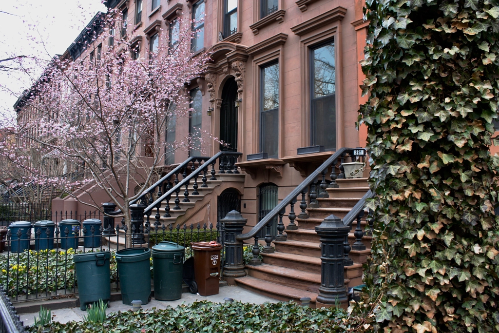 Park Slope, March 2018 by Rich Kearney on 500px.com