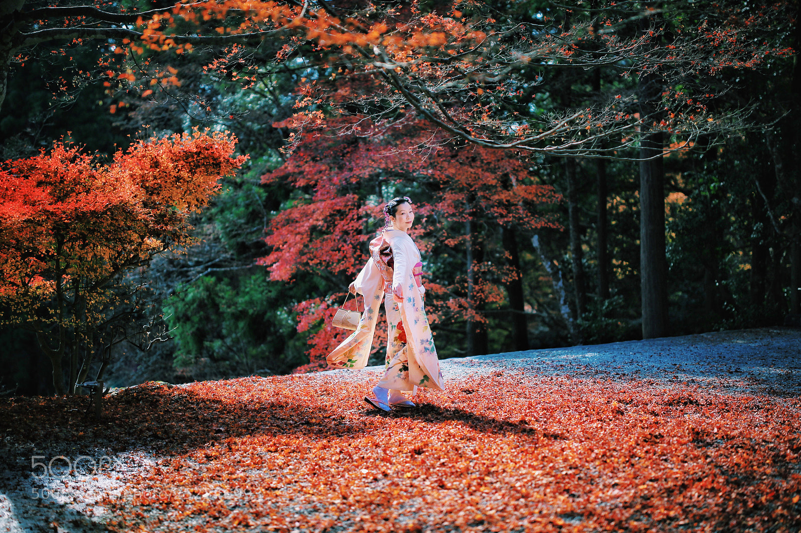 Canon EOS 5D Mark II sample photo. Beautiful kimono photography