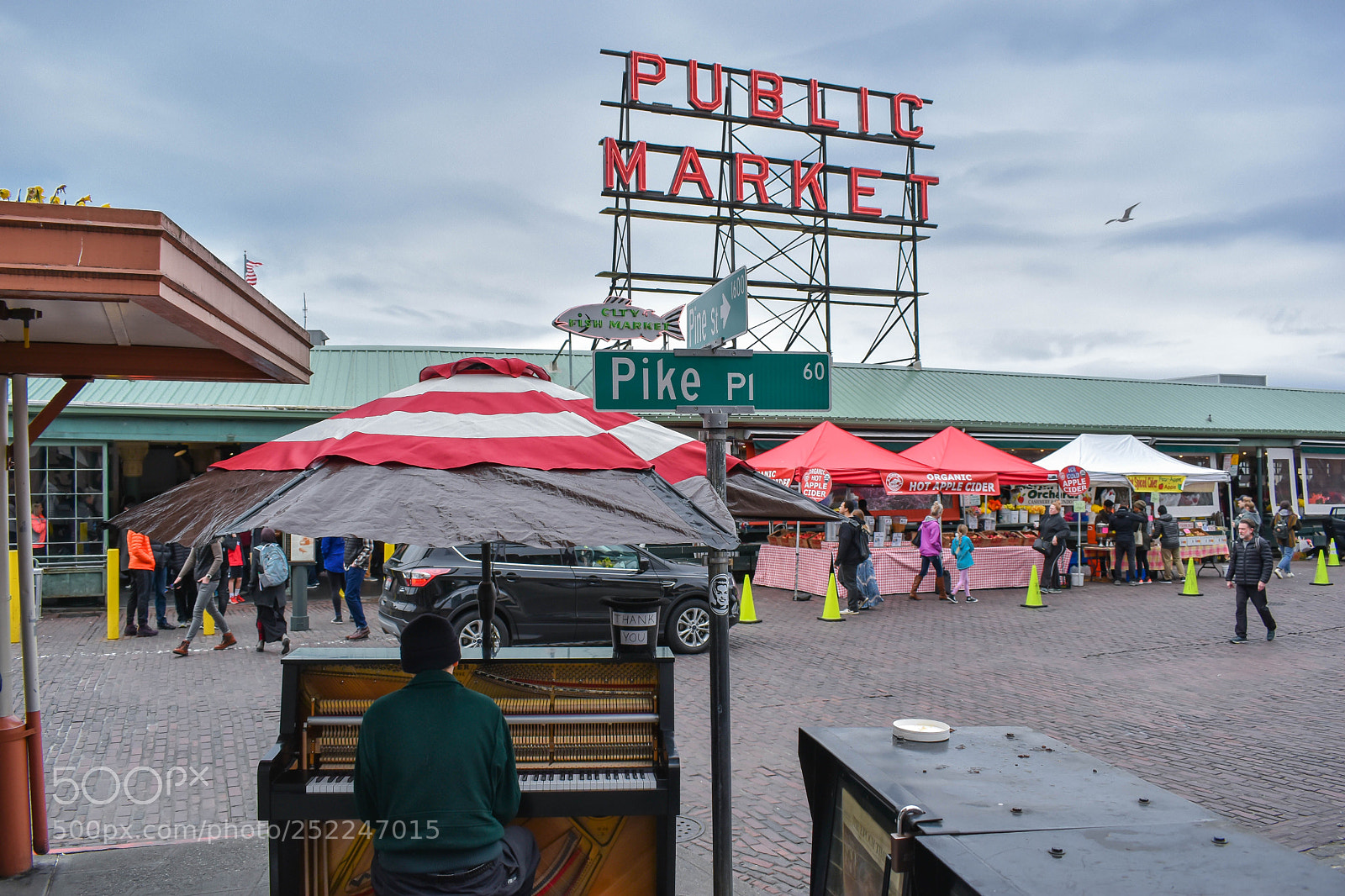 Nikon D5600 sample photo. Piano man photography