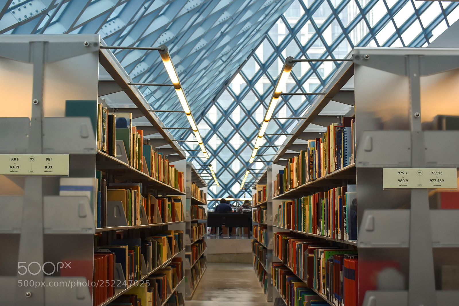 Nikon D5600 sample photo. Seattle public library photography