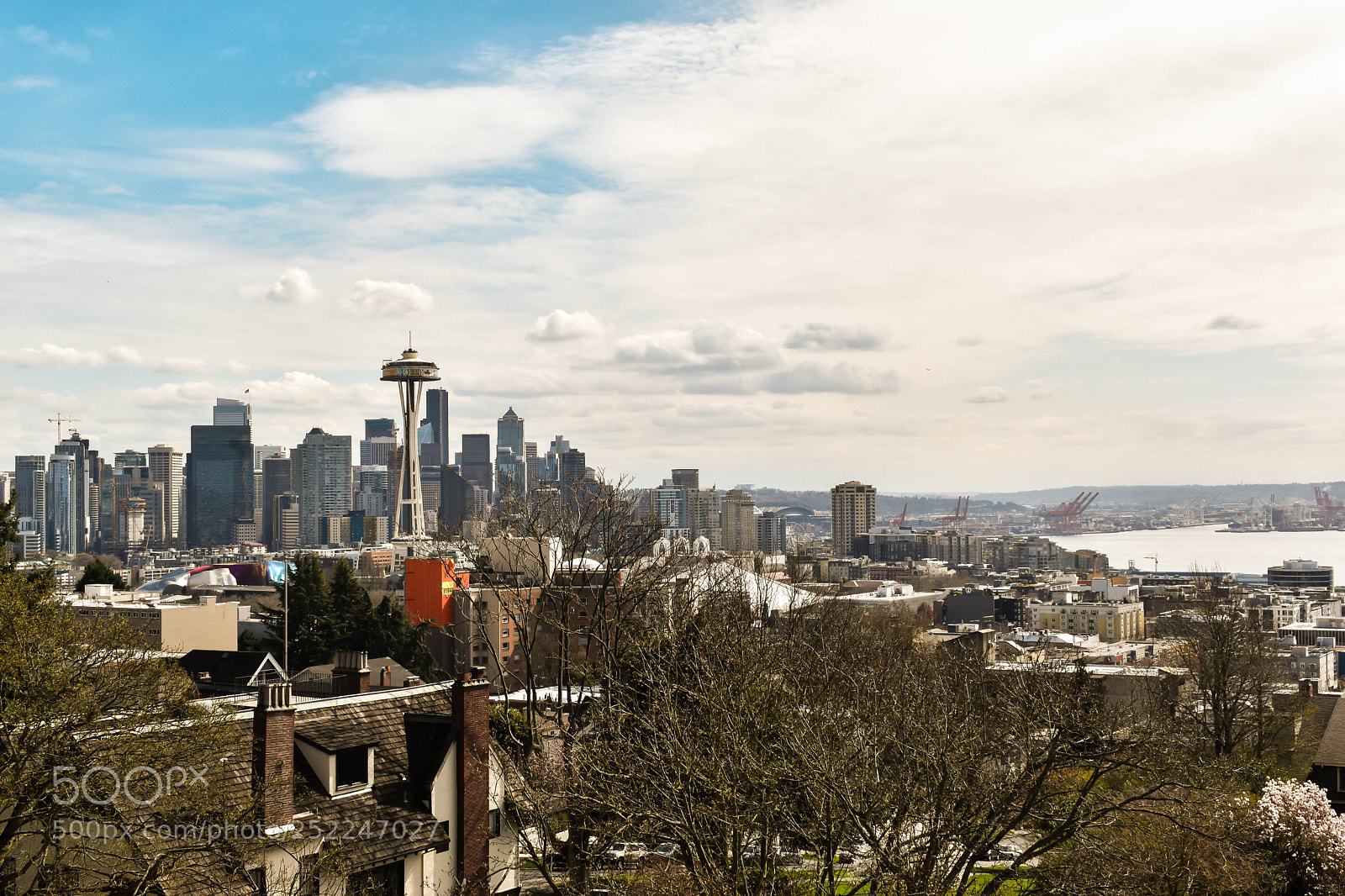 Nikon D5600 sample photo. Kerry park photography