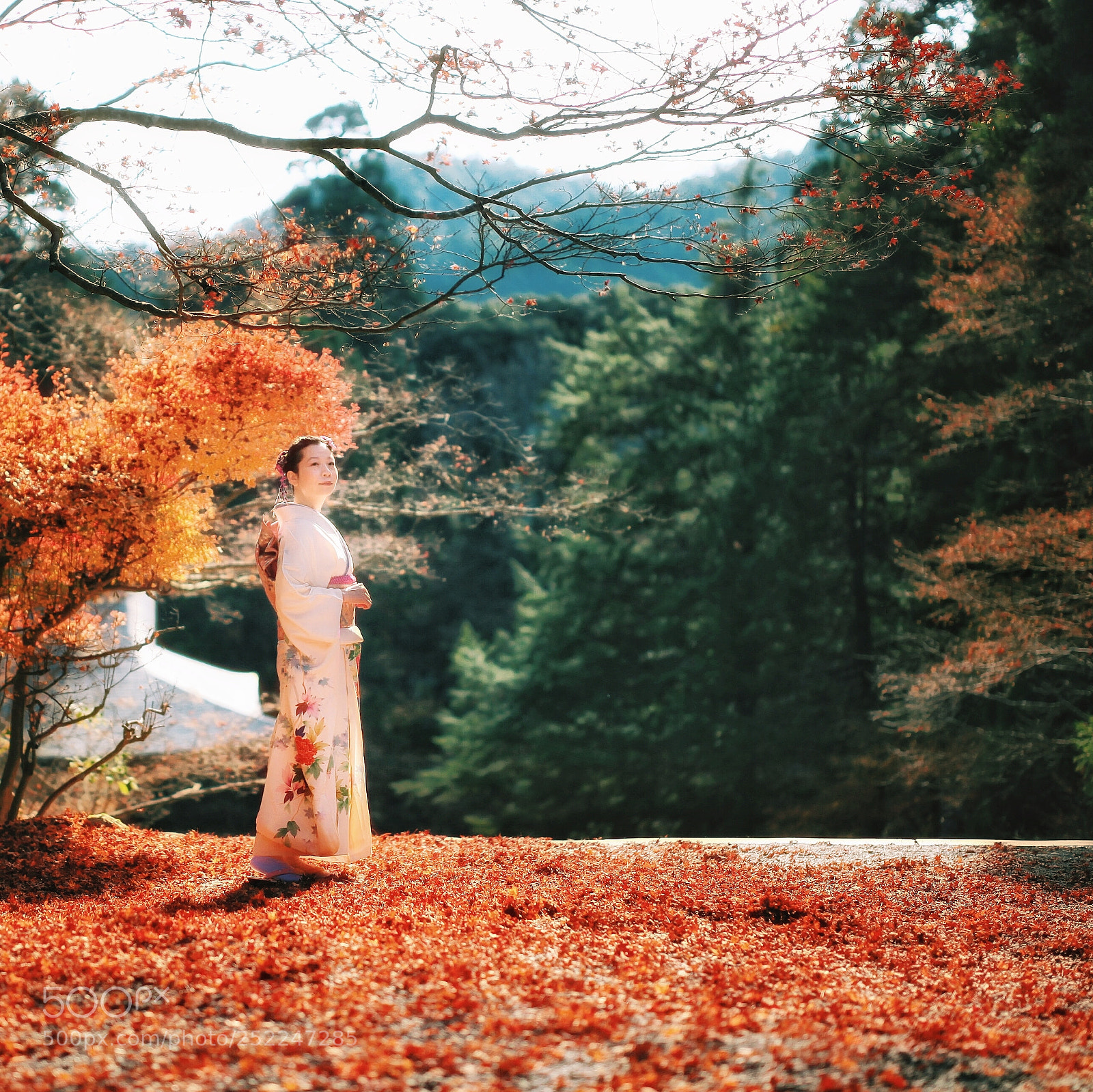 Canon EOS 5D Mark II sample photo. Beautiful kimono photography