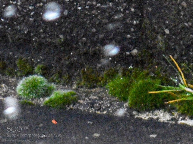 Nikon D3400 sample photo. Untitled photography