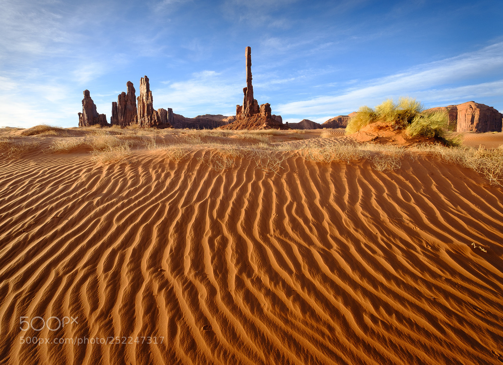 Fujifilm X-T2 sample photo. Totem pole photography