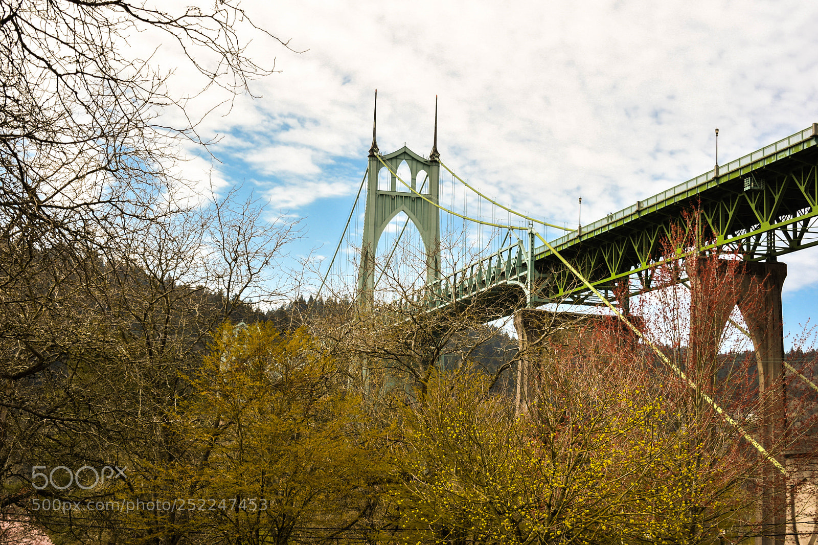 Nikon D5600 sample photo. St. john's bridge photography