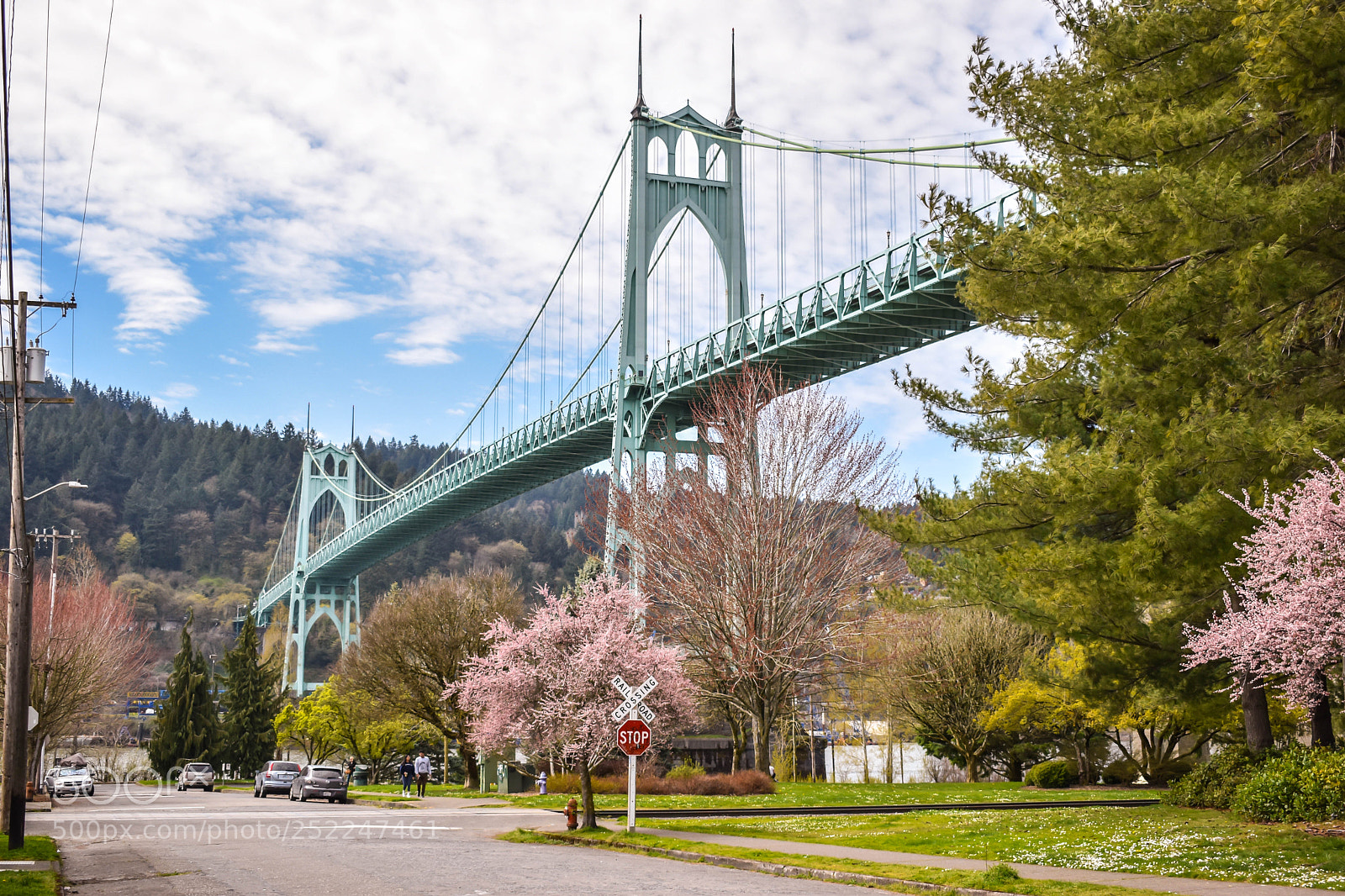 Nikon D5600 sample photo. St. john's bridge photography
