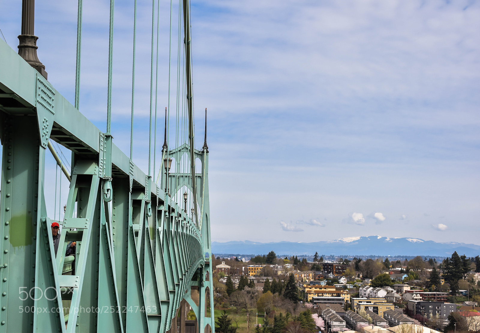 Nikon D5600 sample photo. St. john's bridge photography