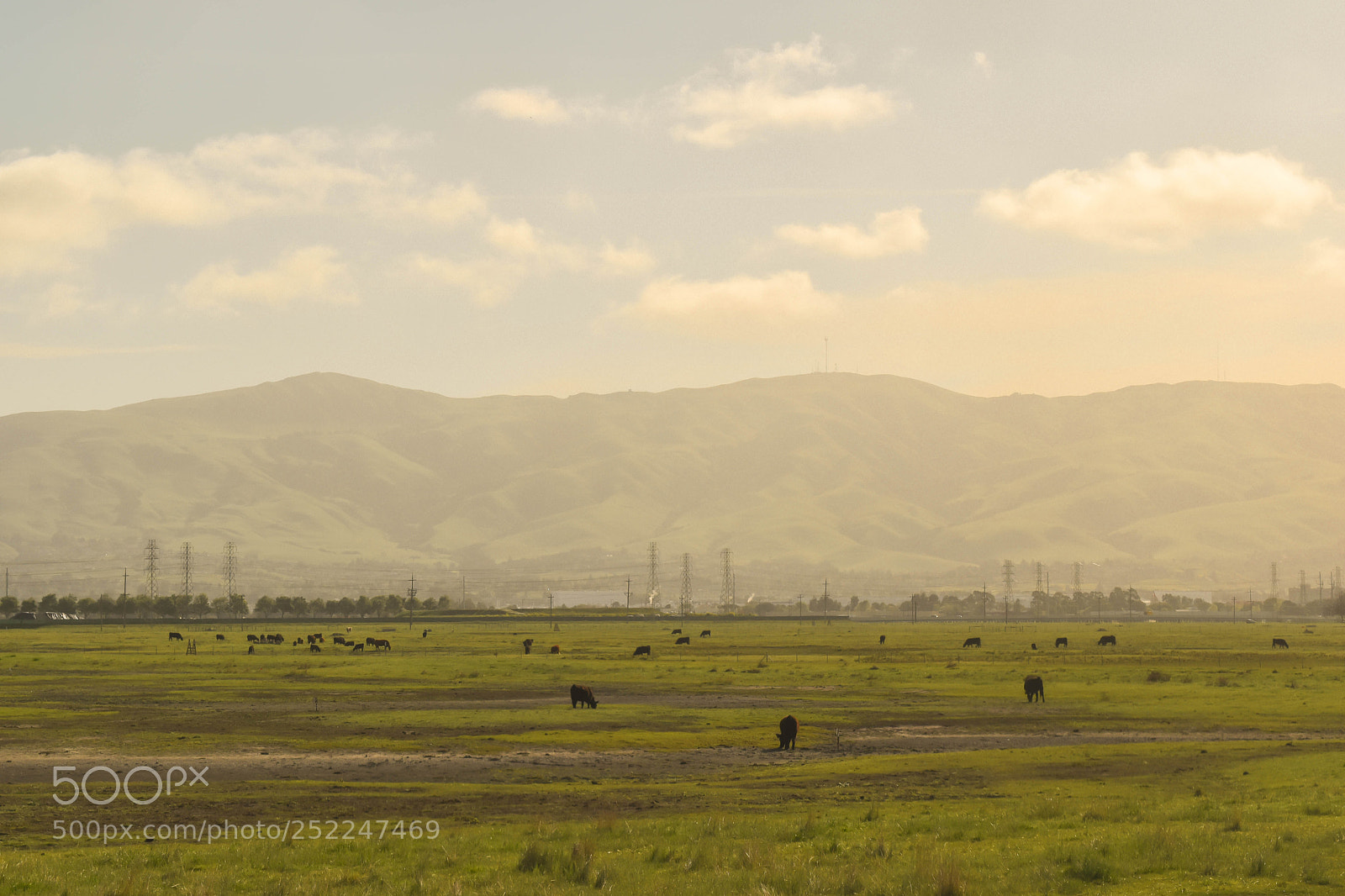 Nikon D5600 sample photo. Farm life photography
