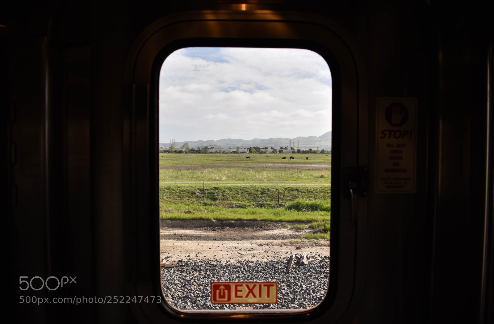 Nikon D5600 sample photo. Train views photography