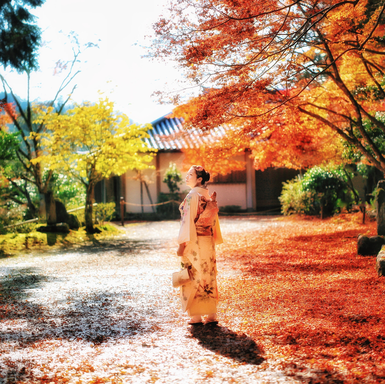 Canon EOS 5D Mark II sample photo. Beautiful kimono photography