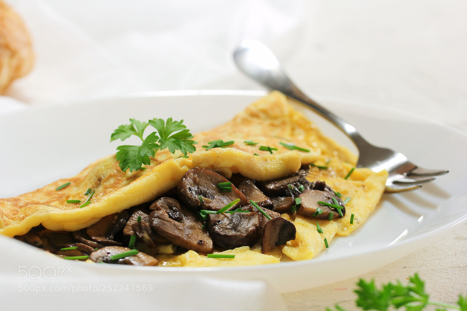 Canon EOS 60D sample photo. Homemade fluffy mushroom omelette photography