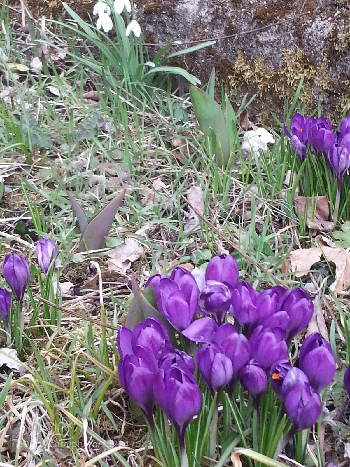 Samsung Galaxy Note2 sample photo. Untitled photography