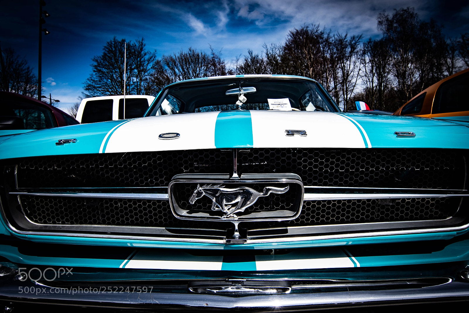 Sony a7R III sample photo. -ford- photography