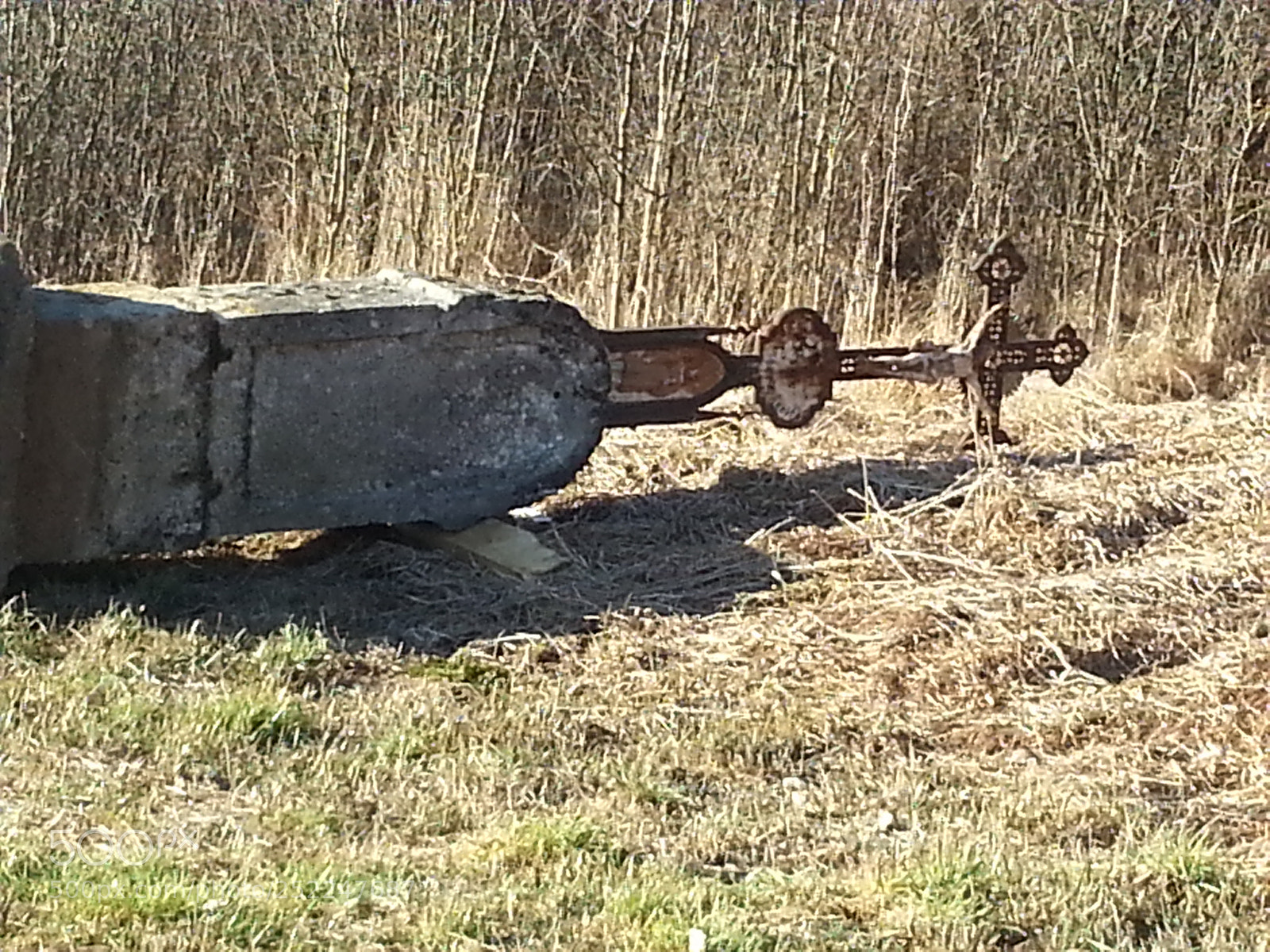 Samsung Galaxy Note2 sample photo. Verbeugen vor mutter natur? photography