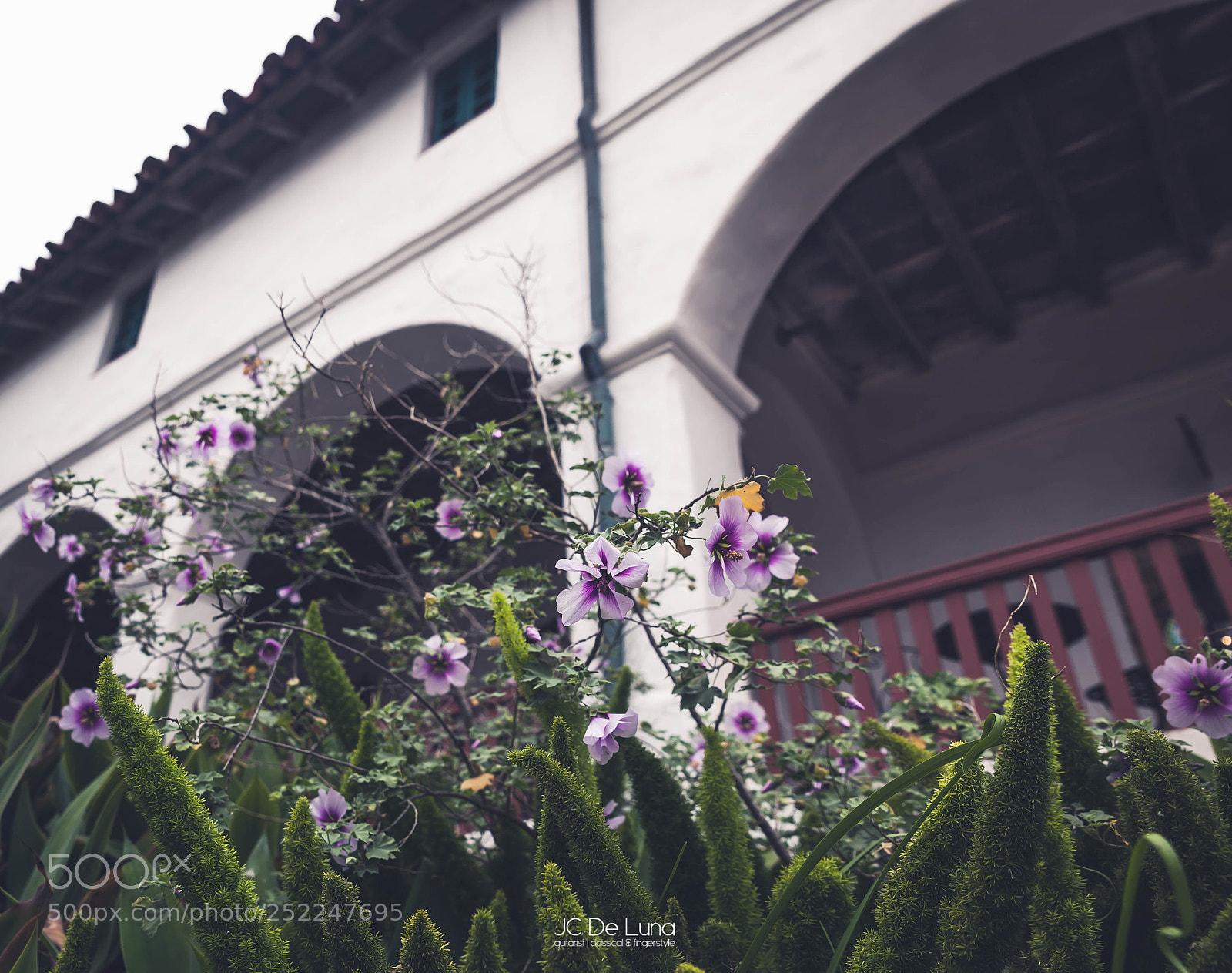 Canon EOS 5D Mark II sample photo. Old mission santa barbara photography