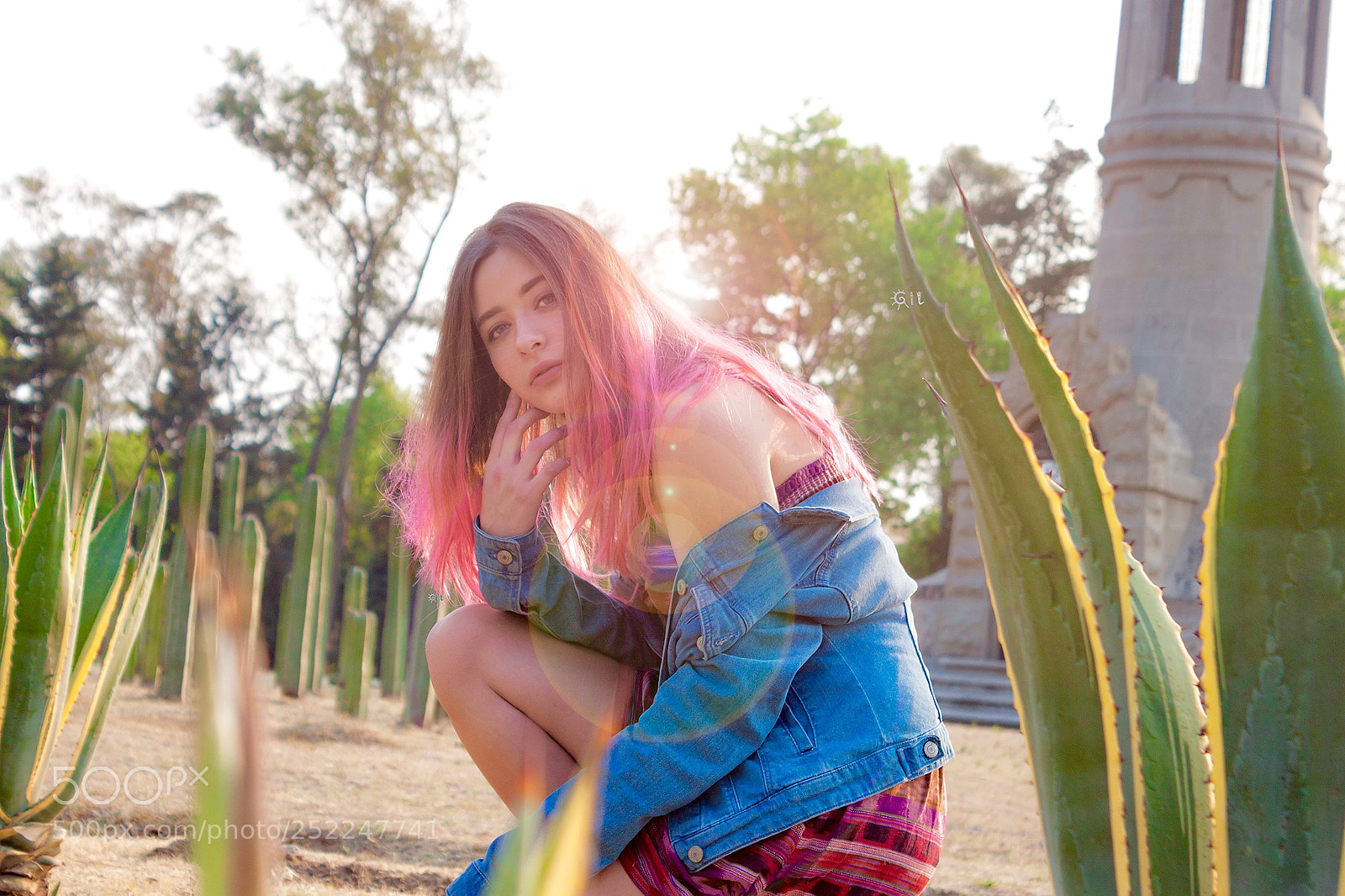 Canon EOS 500D (EOS Rebel T1i / EOS Kiss X3) sample photo. Pink vibes photography