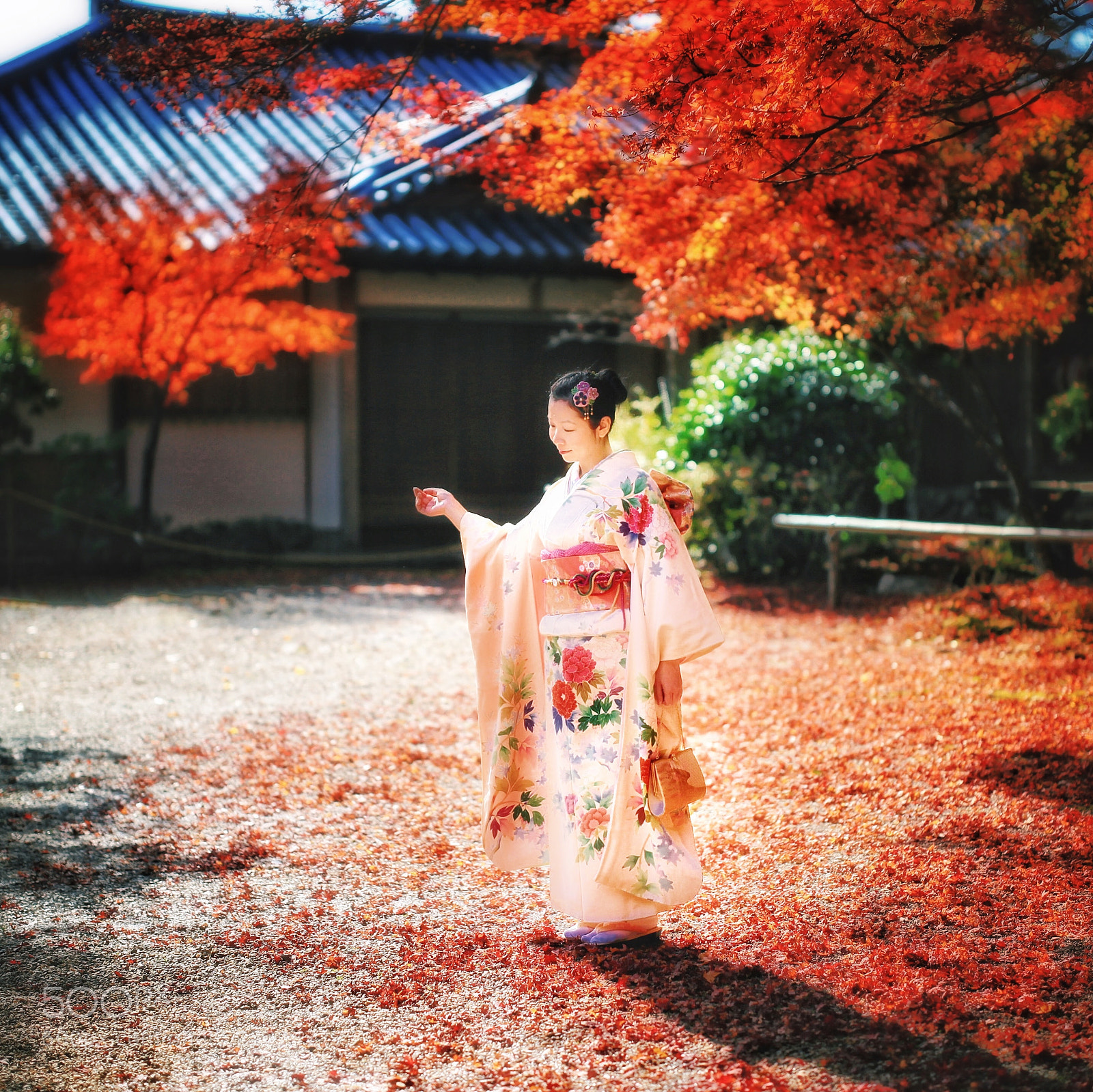 Canon EOS 5D Mark II sample photo. Beautiful kimono photography