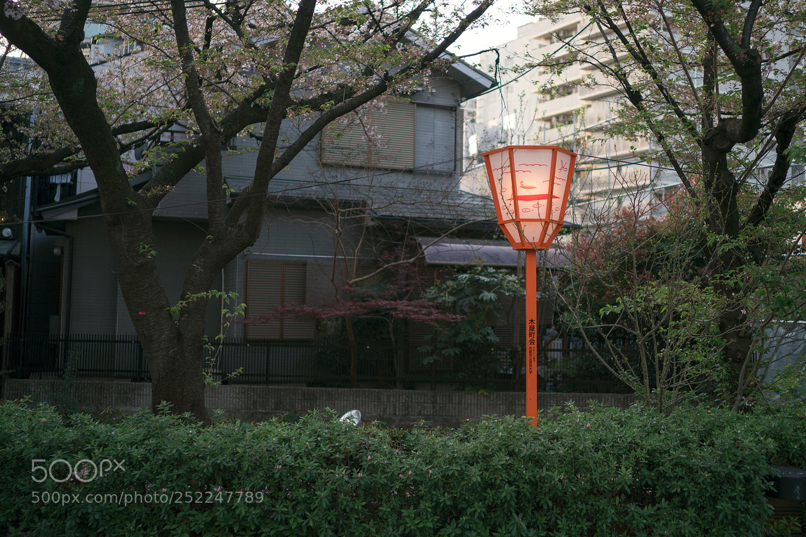 Sony a9 sample photo. Kyoto’s house photography