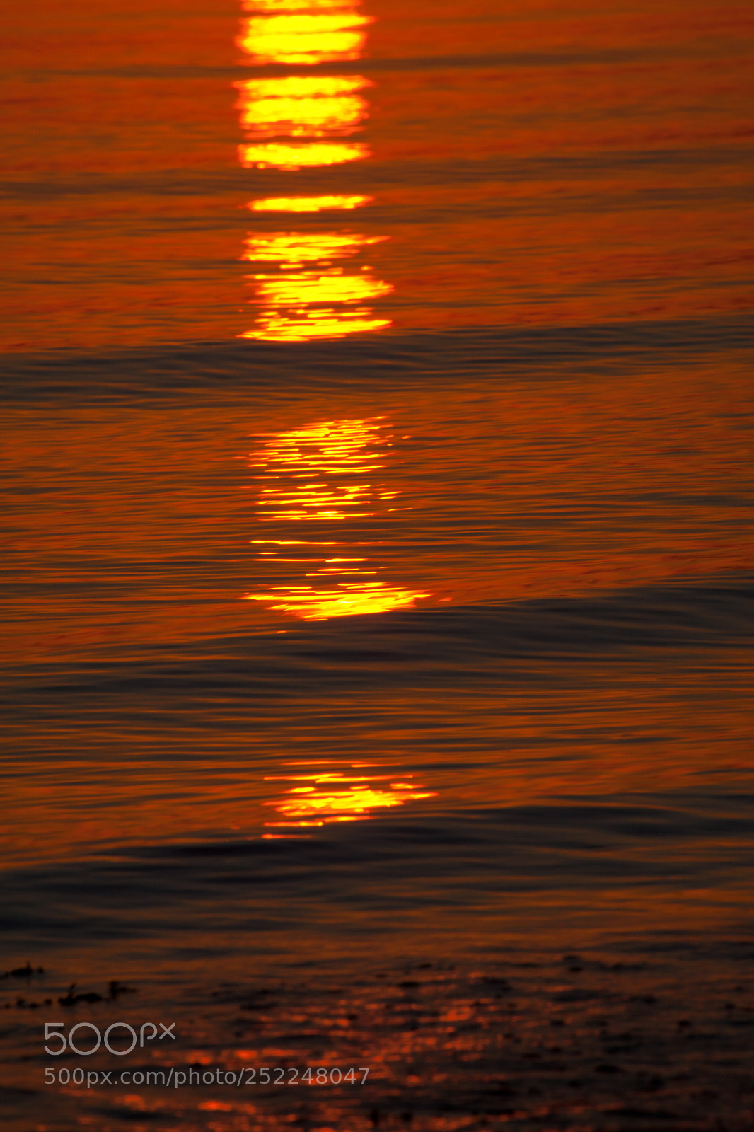 Canon EOS 5D Mark II sample photo. Coastal abstract photography