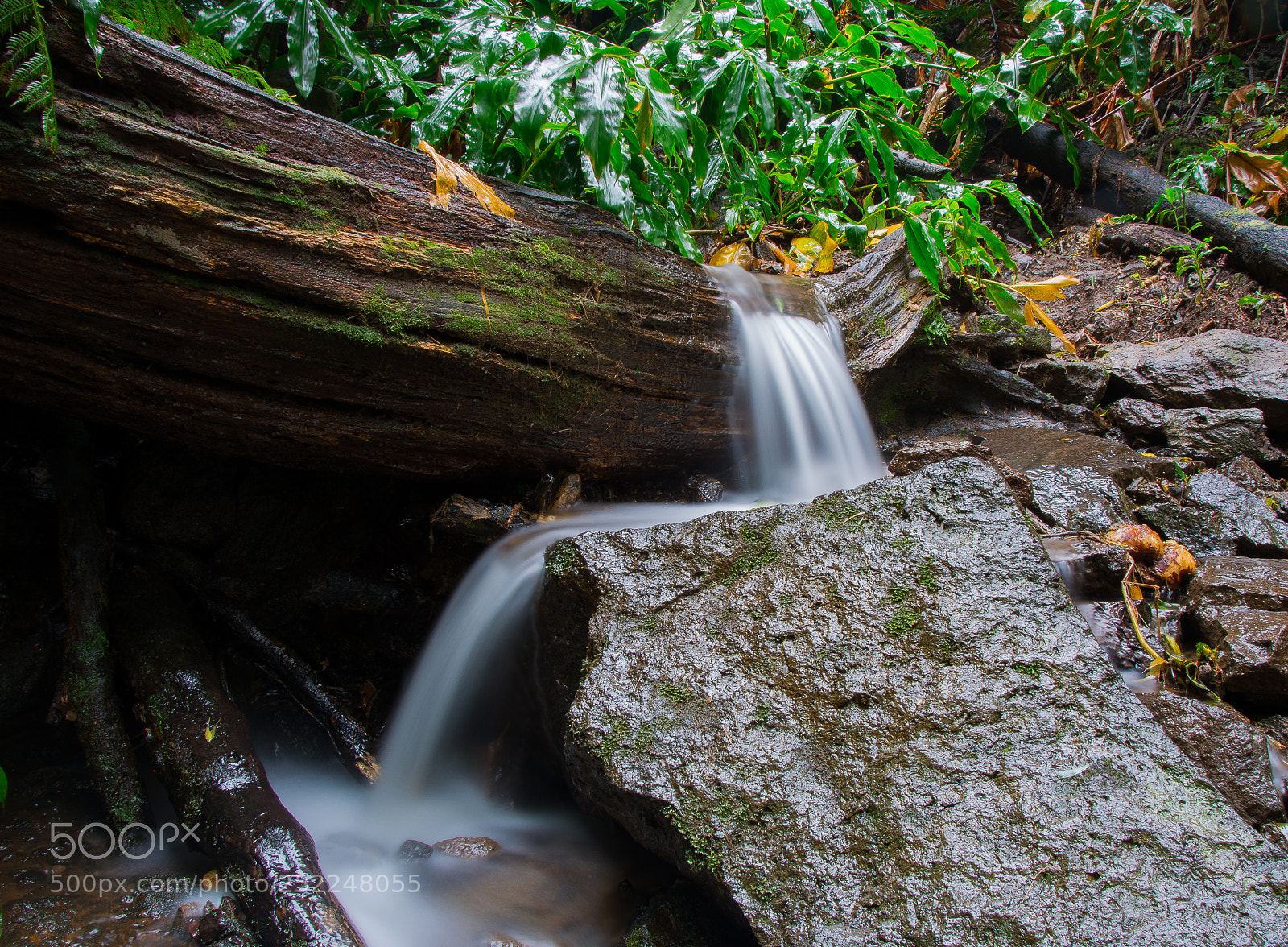 Nikon D5200 sample photo. River photography