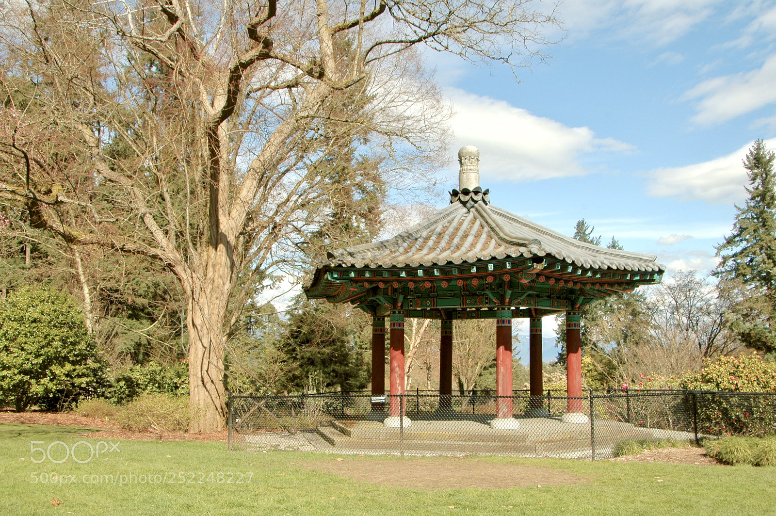 Nikon D70 sample photo. Fullsizeoutput photography