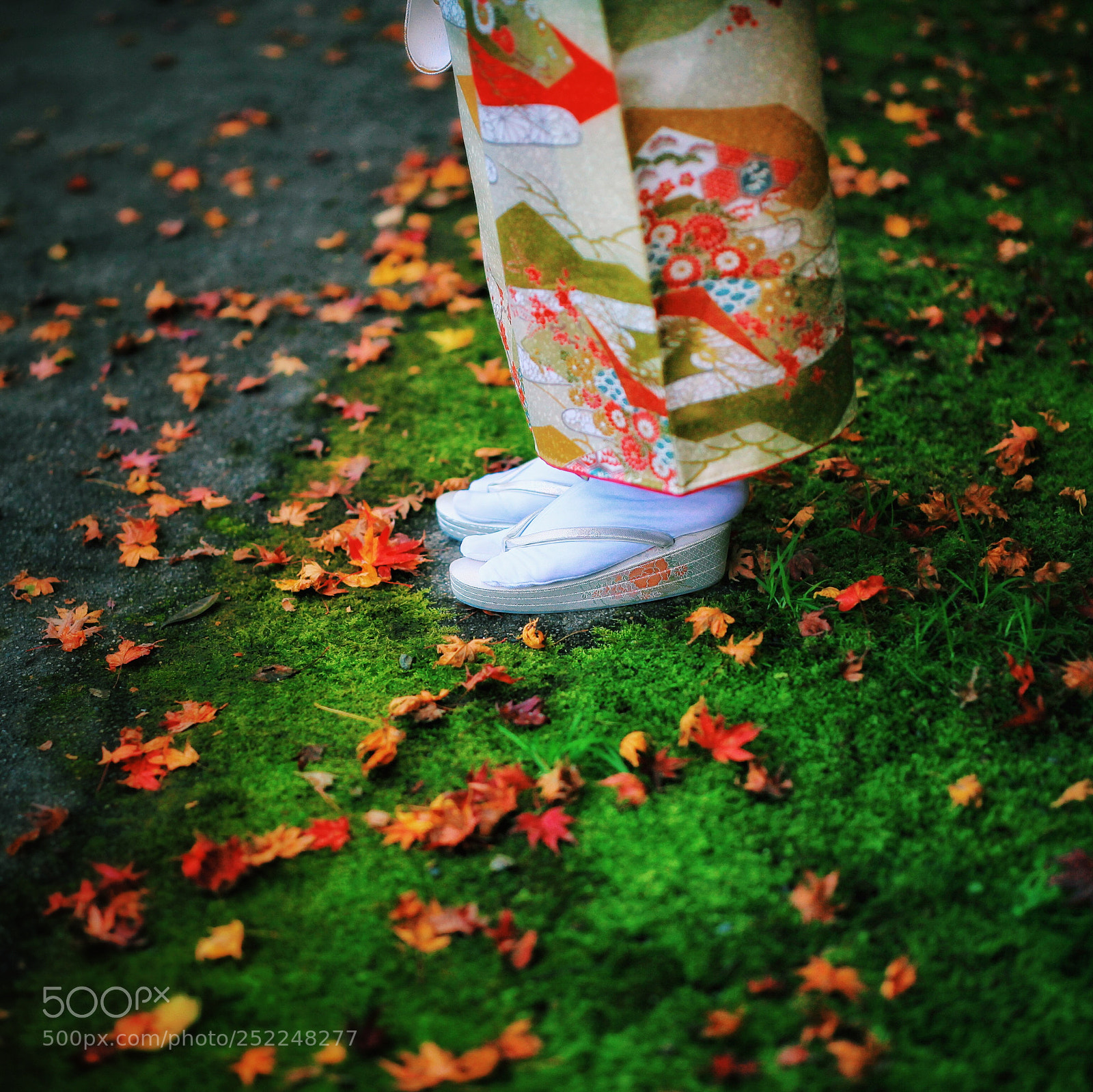 Canon EOS 5D Mark II sample photo. Shoes photography