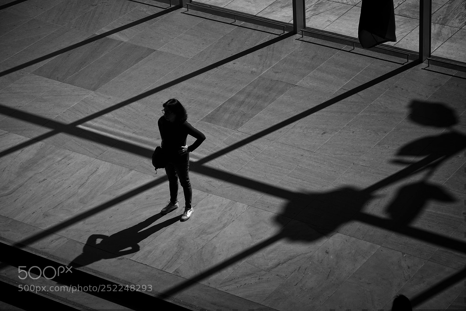 Sony a7R sample photo. Shadow rose photography