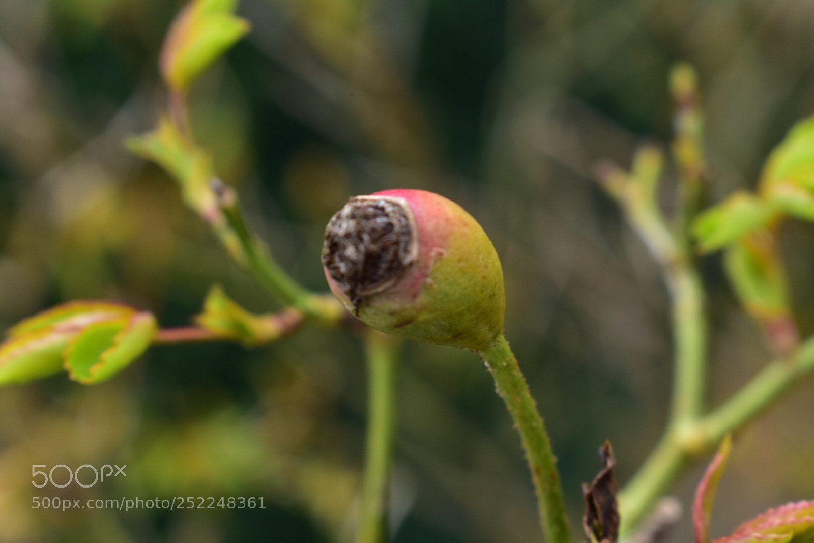Nikon D3400 sample photo. Untitled photography