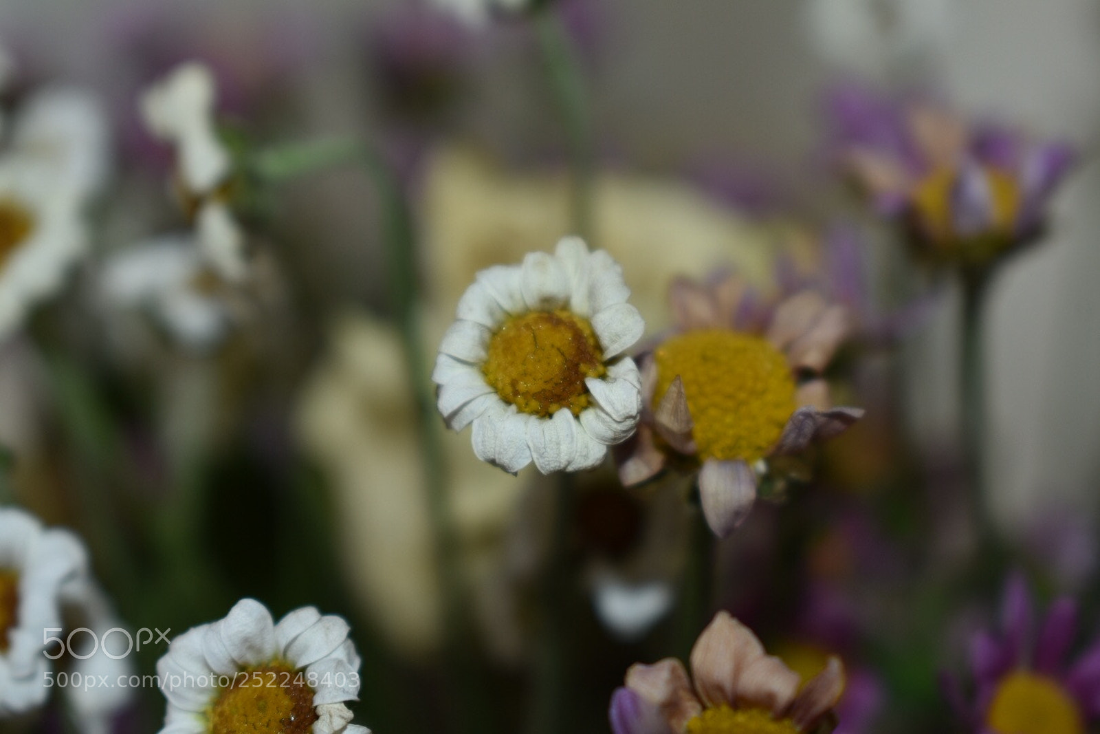 Nikon D3400 sample photo. Untitled photography