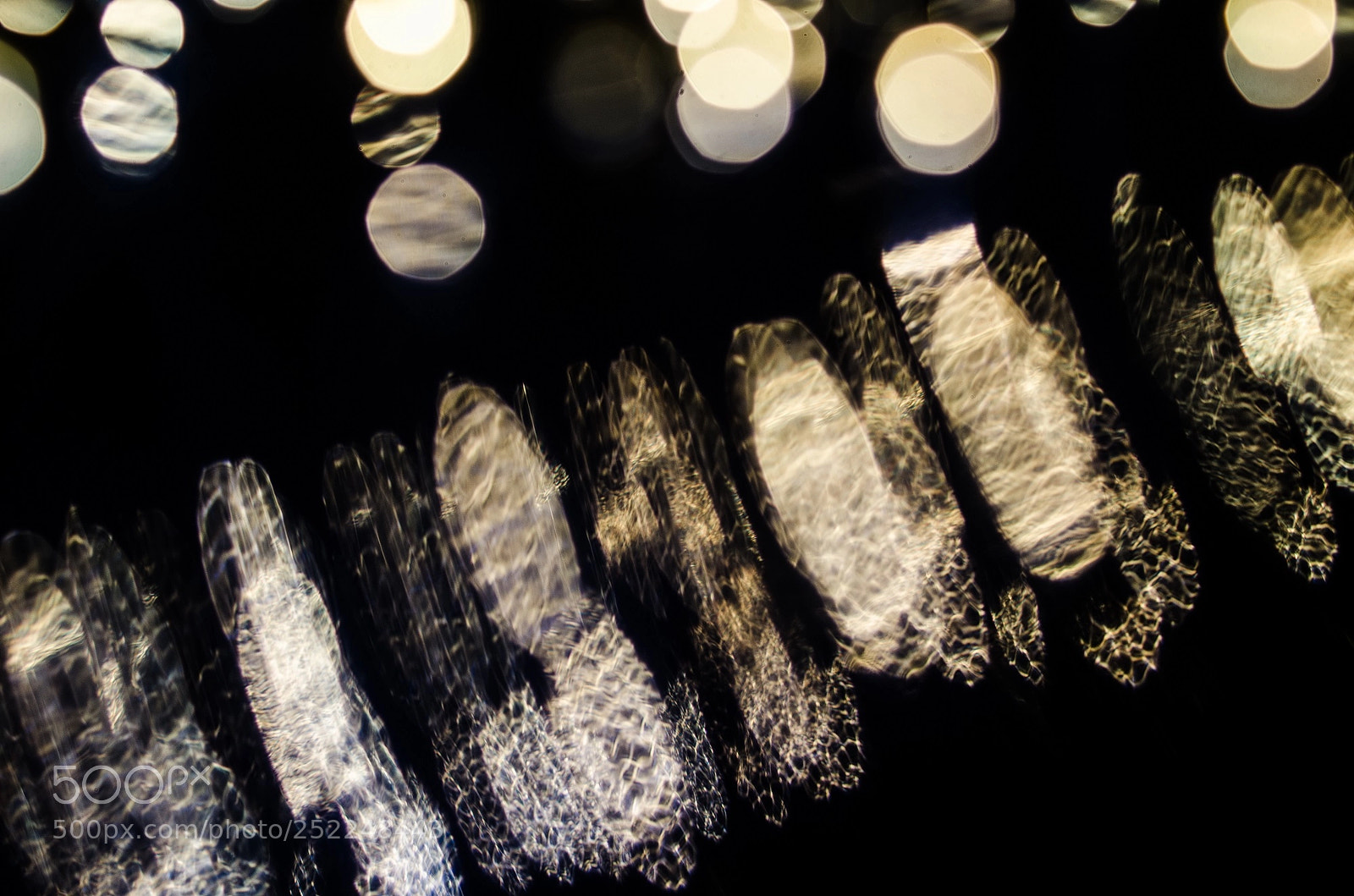 Nikon D7000 sample photo. Frecuencia photography