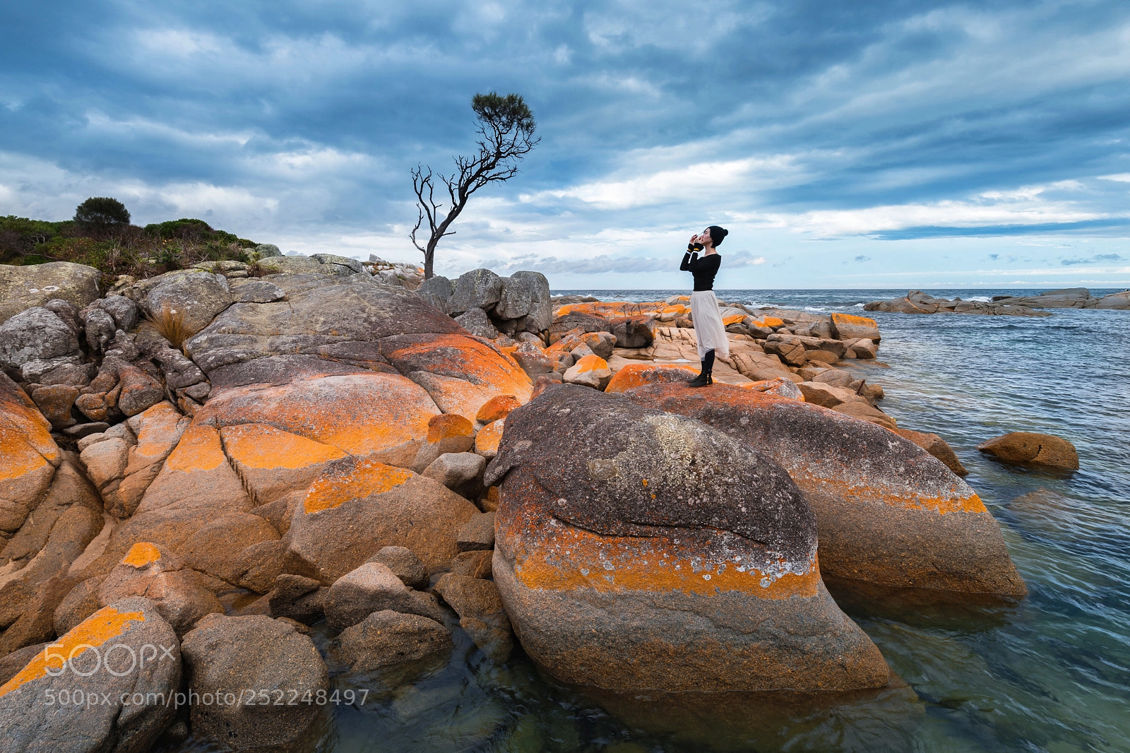 Nikon D850 sample photo. Bay of fires photography