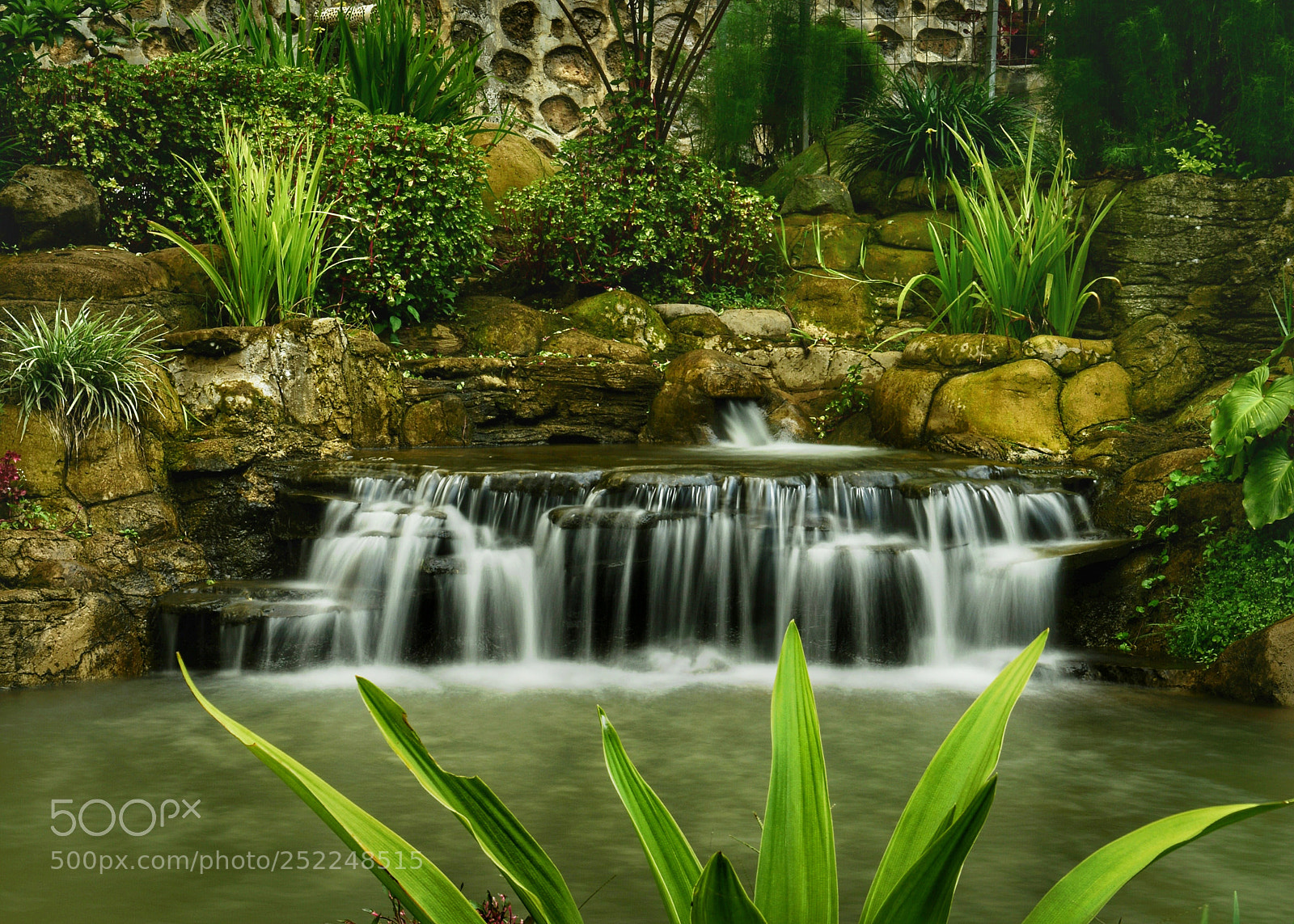 Nikon D3300 sample photo. Natural garden photography