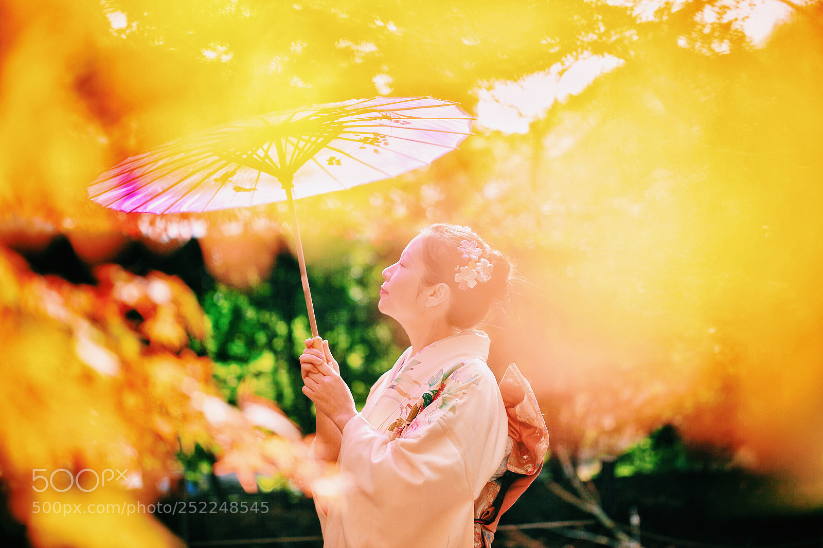 Canon EOS 5D Mark II sample photo.  soft picture photography