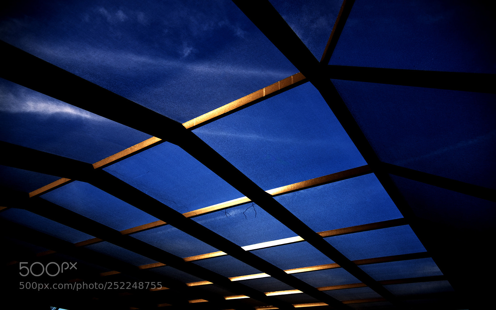 Nikon D810 sample photo. Skylight photography