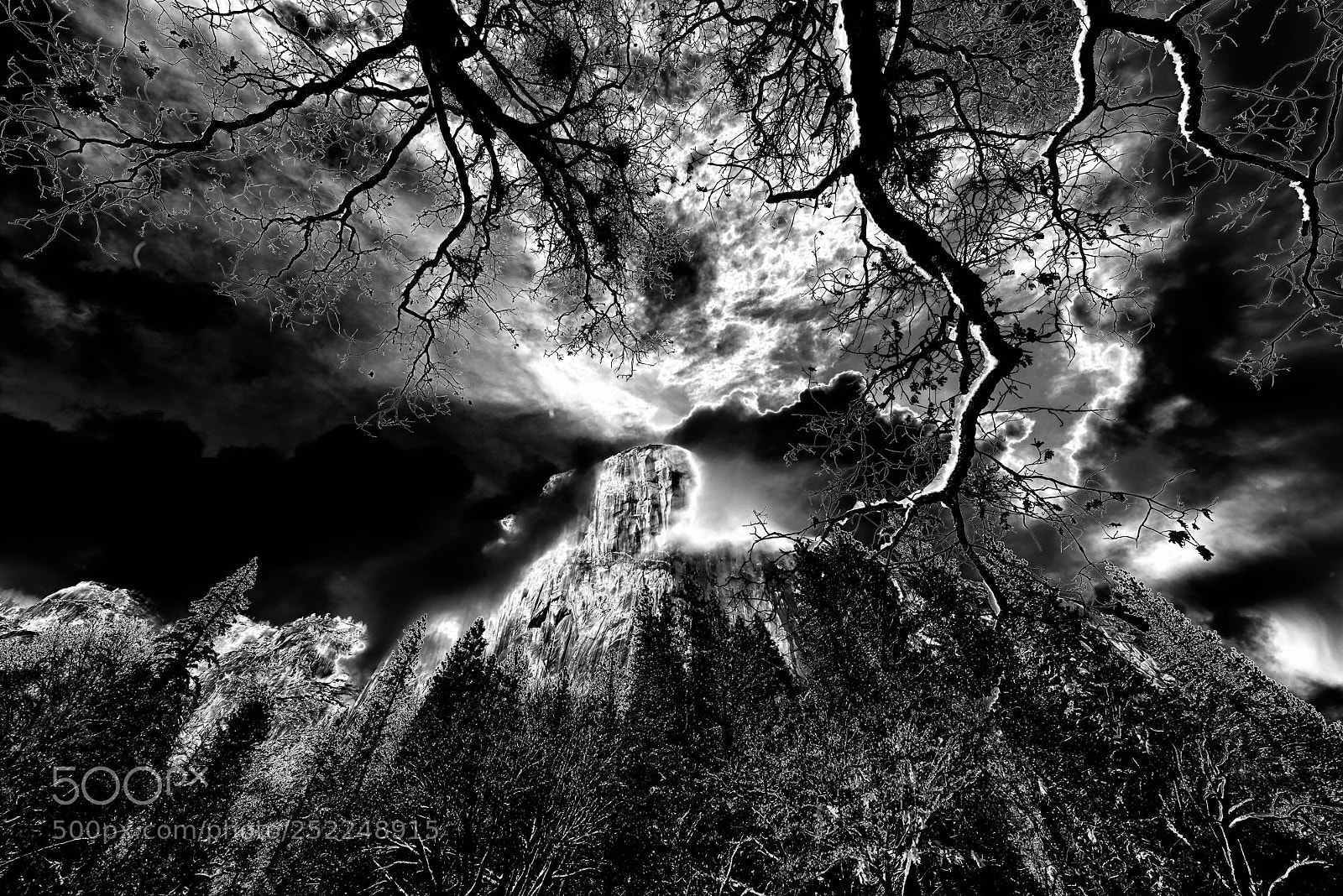Nikon D800 sample photo. Eternity photography
