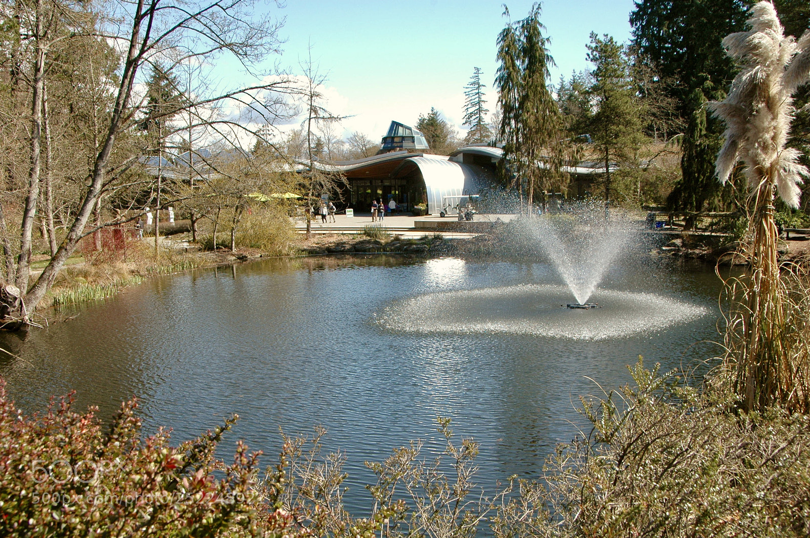 Nikon D70 sample photo. Fullsizeoutput d photography