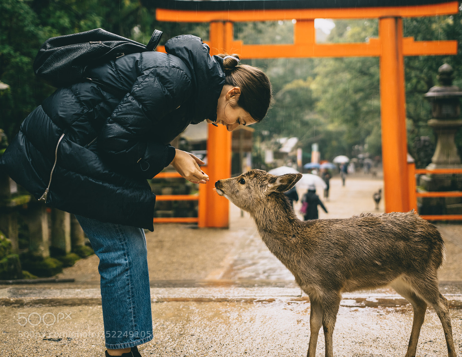 Nikon D5300 sample photo. Reindeer in the rain photography