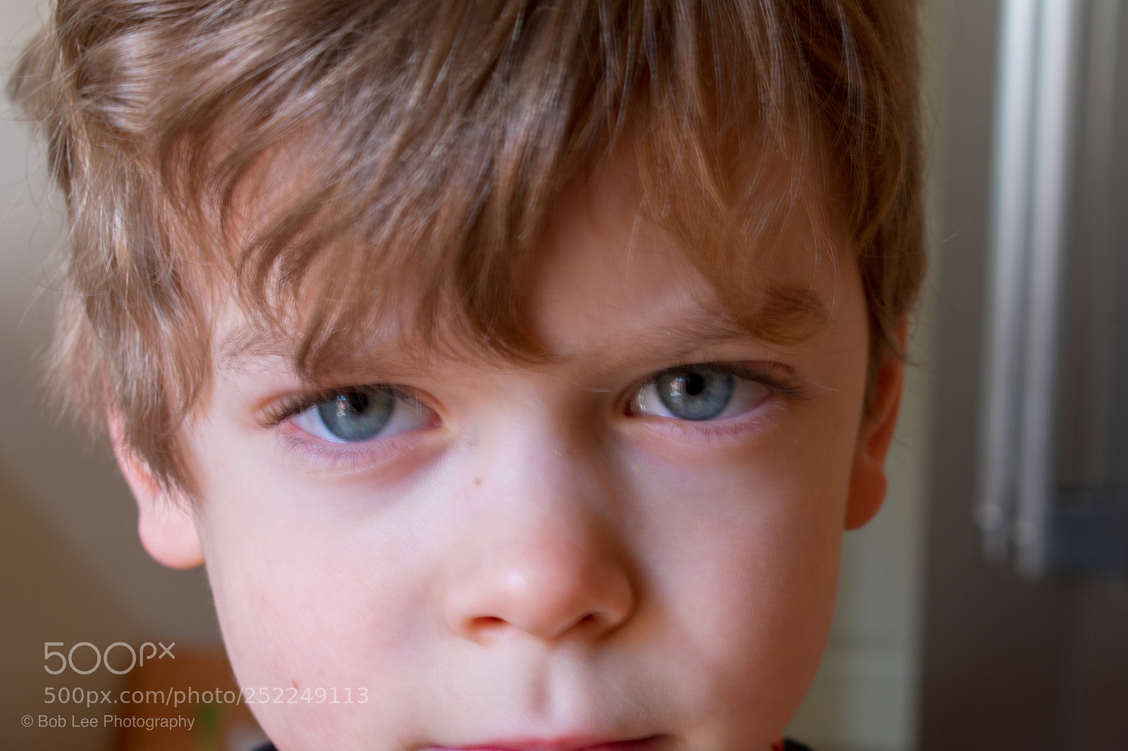 Nikon D3400 sample photo. Untitled photography