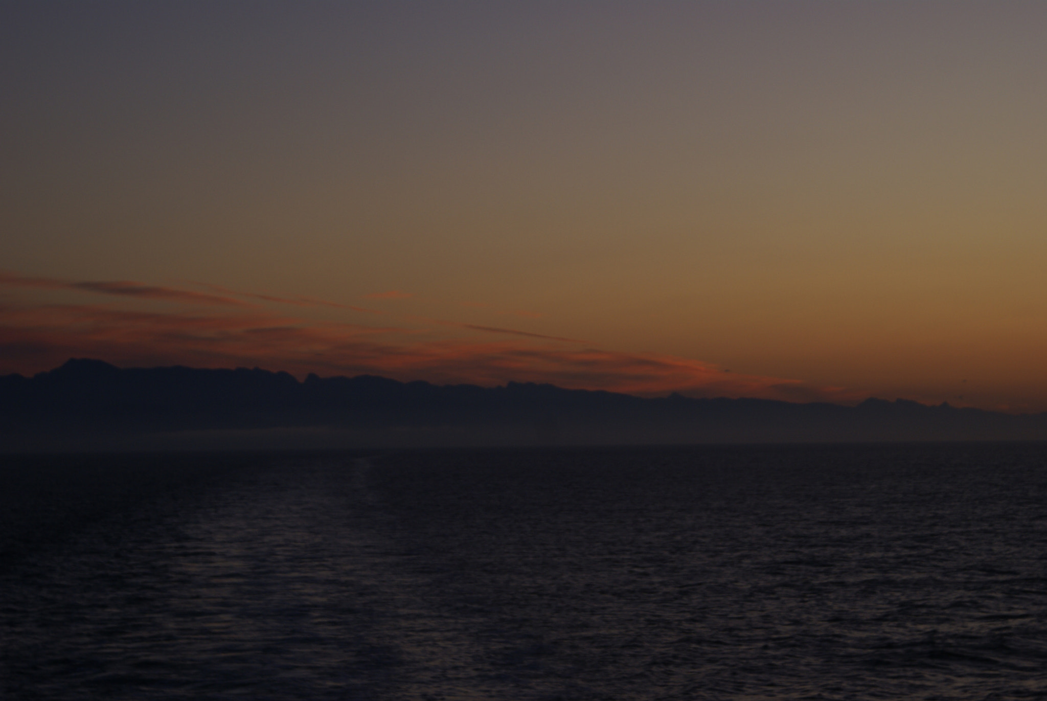Sony Alpha DSLR-A100 sample photo