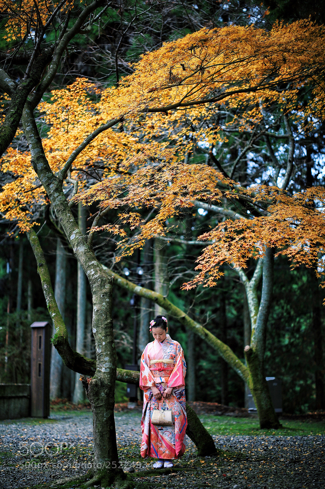 Canon EOS 5D Mark II sample photo. Soft kimono picture photography