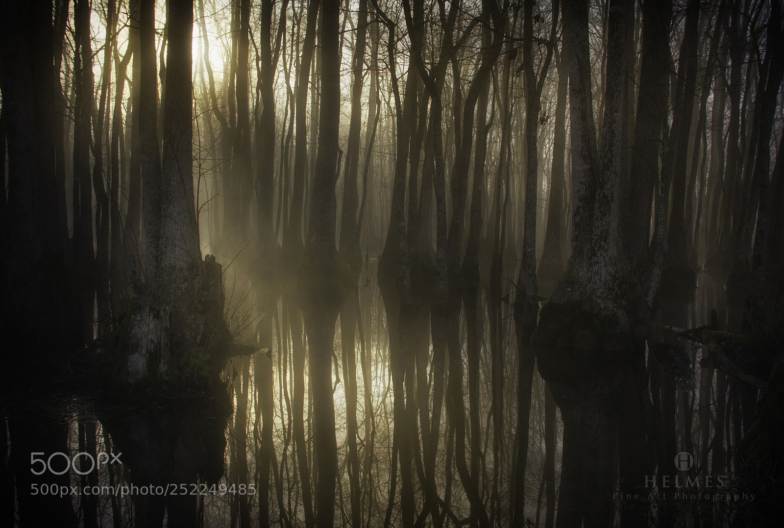 Canon EOS 60D sample photo. Sunrise in the swamp photography